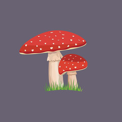 Amanita mushroom with green grass