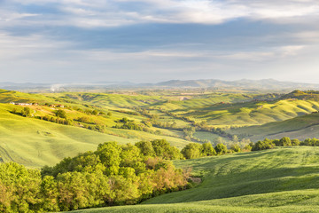 Rural landscape view with fields and groves of trees in a valley in Tuscany