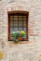 Flowers in a pot on a window