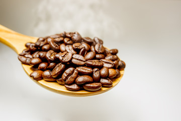 coffee bean in wooden spoon
