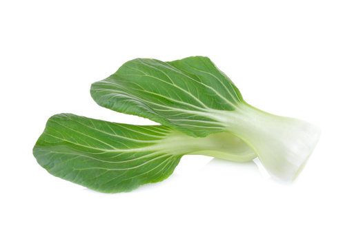 baby bok choy or chinese cabbage leaf on white background