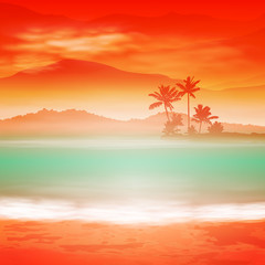 Background with sea and palm trees. Sunset time.