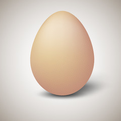 Vector illustration of single brown chicken egg - with halftone effect, front view