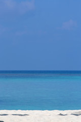 Tropical white sandy beach on the ocean coast. Maldives