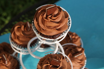 Chocolate Mint Wedding Cupcake On A Stand
