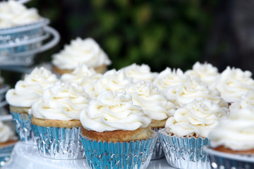 Wedding Vanilla Bean Cupcakes Outside