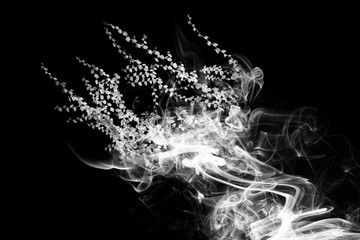 Smoke is shaped like creepers , ivy or ornamental plants on black background.