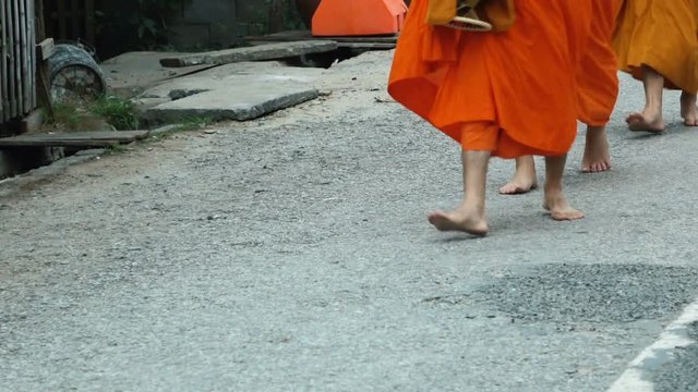 Buddhist monks walking barefoot along the street in Luang Prabang, Laos.
