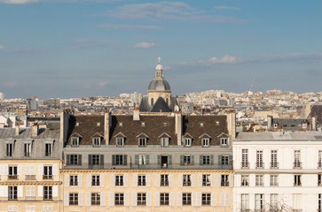 Obraz premium The panoramic view on parisian houses, Paris, France.