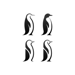 Obraz premium wektor pingwina