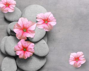 Fototapeta na wymiar flower and stone zen spa on grey background