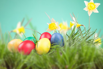 Easter colored eggs in the grass