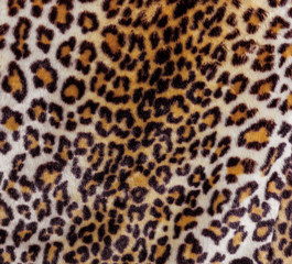 Abstract fragment of view of jaguar fur background