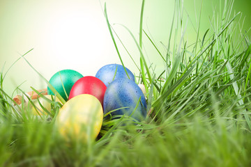 Easter colored eggs in the grass