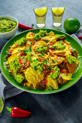 Nachos with cheese, jalapeno peppers, red onion, parsley, tomato, salsa, guacamole sauce and tequila on green plate.