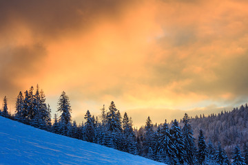 Winter Ukrainian Carpathian Mountains landscape.