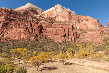 Fototapeta premium Autumn in Zion