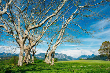 Landscape of tropical view in southern Thailand.