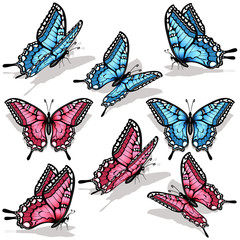 Collection of eight beautiful pink and blue machaon butterflies. © Vanessa