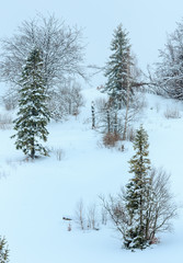 Winter Carpathian Mountains landscape.