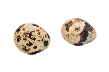 Two spotted quail eggs isolated on white background