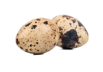 Obraz premium Two spotted quail eggs isolated on white background