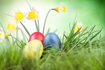 Easter colored eggs in the grass