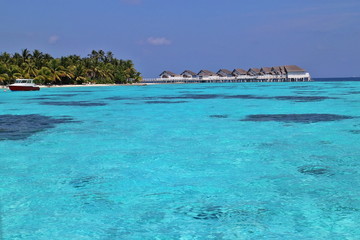 Beautiful tropical Maldives island with water villa, beach , boat, sea , and coconut palm tree on blue sky for nature holiday vacation background concept.