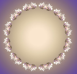 Рамка из нежных белых цветков (смолёвки поникшей)