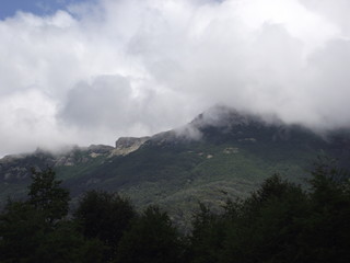 woods and clouds