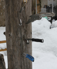 various knifes in a stock of a tree, sharp, dangerous, jack-knife, folding knifes, daylie needs, carving