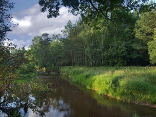 Подмосковная река Нерская в начале июня.