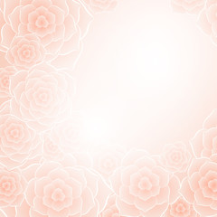 Beautiful orange rose flower background
