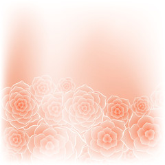 Beautiful orange rose flower background