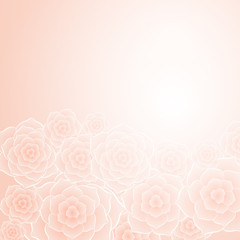 Beautiful orange rose flower background