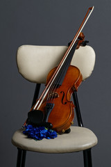 Violin
