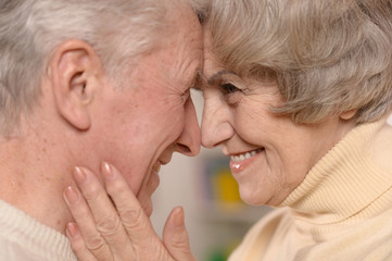 Happy elderly couple embracing