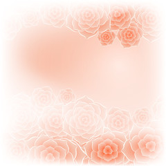 Beautiful orange rose flower background