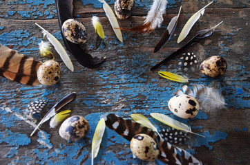 Quail eggs and colorful feathers of birds on the blue old boards. Easter composition. Easter Holiday