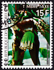 Postage stamp Comoros 1977 Blooming Banana, Flowering Plant