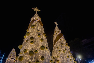 Christmas day, Christmas tree