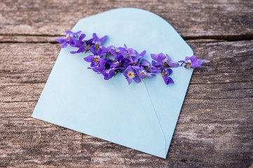 Violet flowers in blue envelope