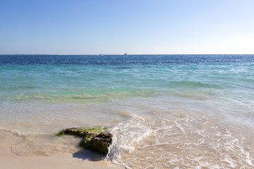The Caribbean sea and the white beaches. Focus point on the stone. Some moss is on the rock.