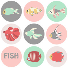 Vector illustration of tropical fishes icon