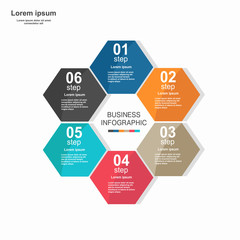 Business infographic hexagon in flat design. Layout for your options or steps