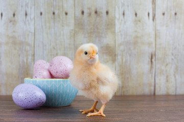 A fluffy chick stands near a bowl of Easter eggs on a rustic background