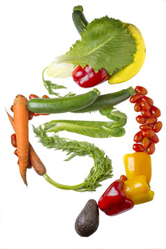 Verdauungstrakt aus Gemüse und Obst