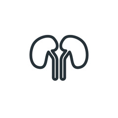 Kidney vector icon
