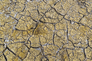 Mud Cracked Pattern