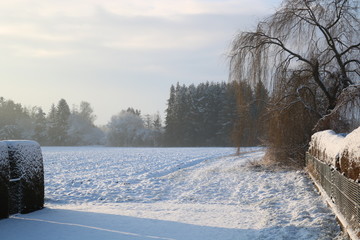 winterliche Landschaft
